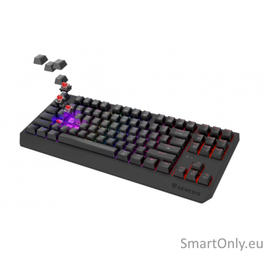 THOR 230 | Mechanical Gaming Keyboard | Wireless | US | Black | 2.4 GHz, Bluetooth, USB | Outemu Red 1