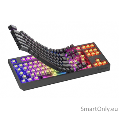 THOR 230 | Mechanical Gaming Keyboard | Wireless | US | Black | 2.4 GHz, Bluetooth, USB | Outemu Silent Lemon 2