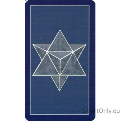 Todays Journey Tarot Kortos Schiffer Publishing 3