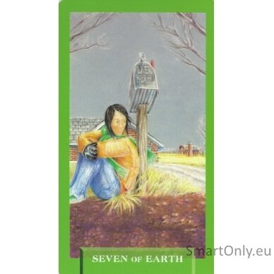 Todays Journey Tarot Kortos Schiffer Publishing 7