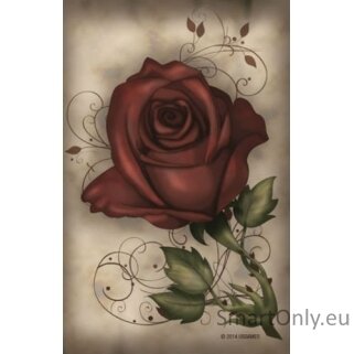 Under The Roses Lenormand kortos US Games Systems 8