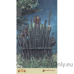 Viceversa Tarot Kit kortos Lo Scarabeo 5