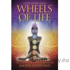 wheels-of-life-knyga-llewellyn