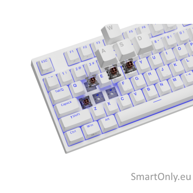 White | Mechanical Gaming Keyboard | THOR 404 TKL RGB | Genesis | Mechanical Gaming Keyboard | Wired | US | USB Type-A | 1005 g | Kailh Box Brown V2 9