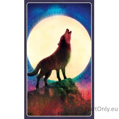 Wild Dreams Animal Oracle Kortos Blue Angel 9