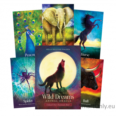 Wild Dreams Animal Oracle Kortos Blue Angel