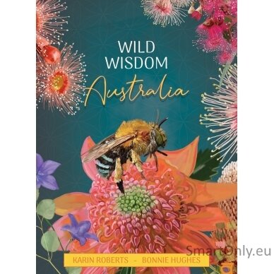 Wild Wisdom Australia Oracle kortos Blue Angel 8