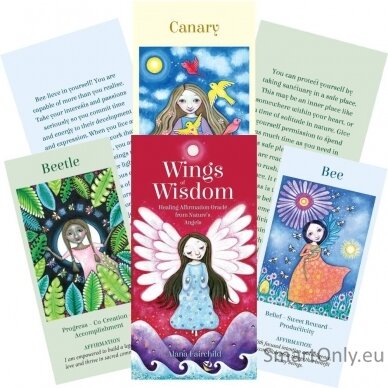 Wings of Wisdom Oracle kortos Blue Angel