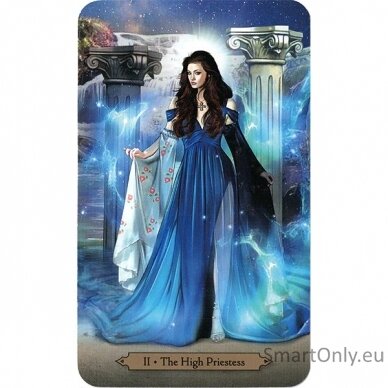 Wizards Tarot Kortos Llewellyn 3