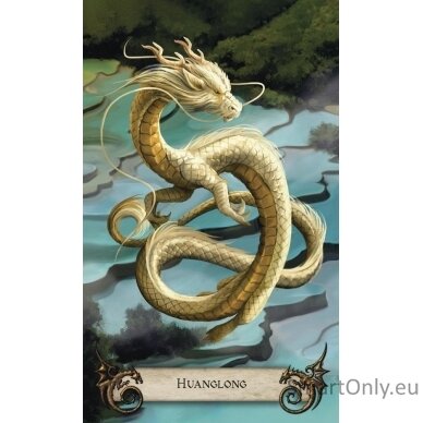 World Dragon Oracle rinkinys Llewellyn 3