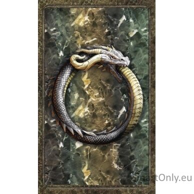 World Dragon Oracle rinkinys Llewellyn 4