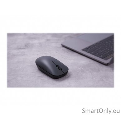 Xiaomi Wireless Mouse Lite USB Type-A Optical mouse Grey/Black 12